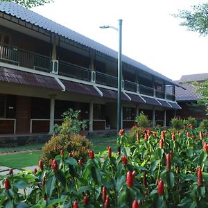 Green Planet Hotel